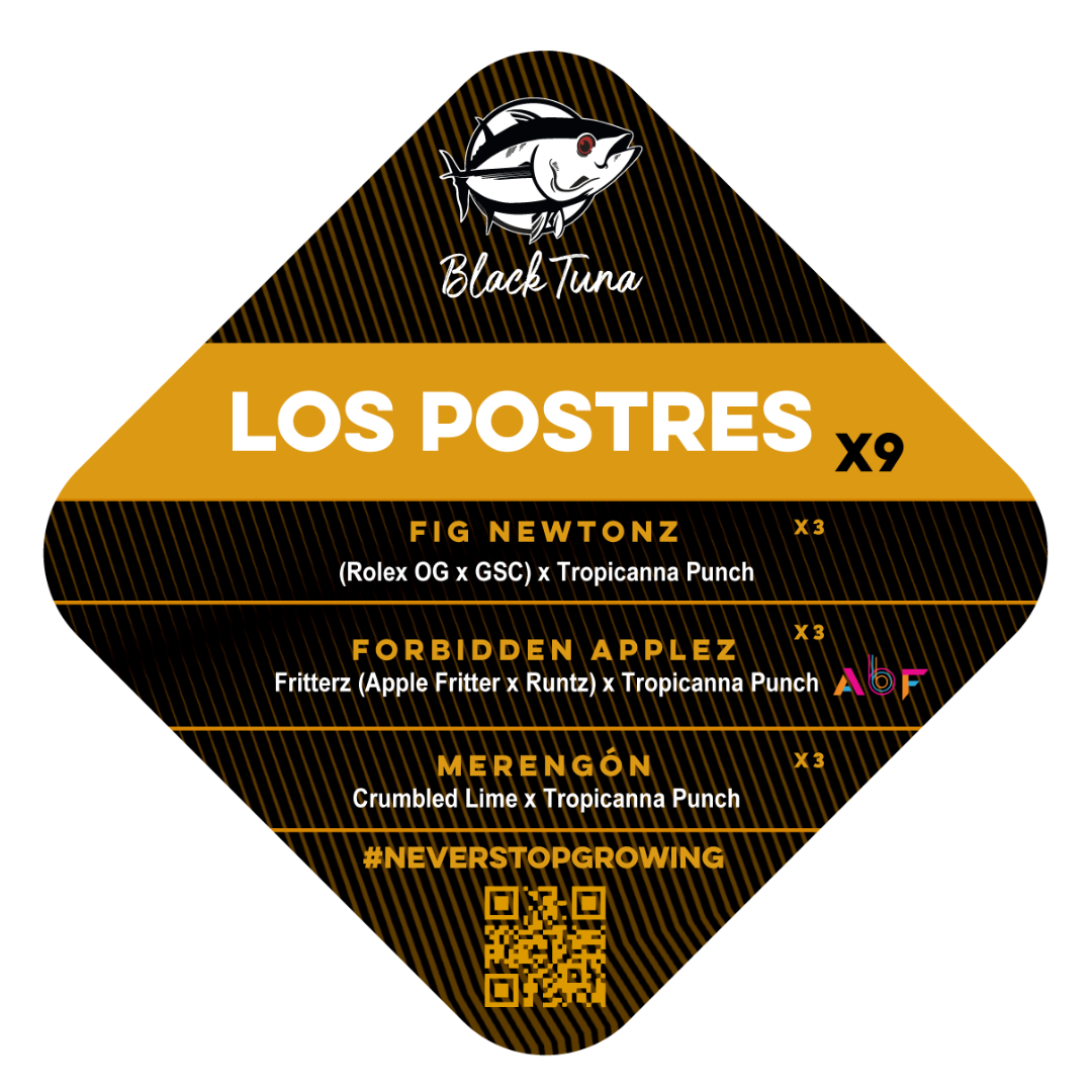 Popurrí: Los postres - Black Tuna - Pack x 9