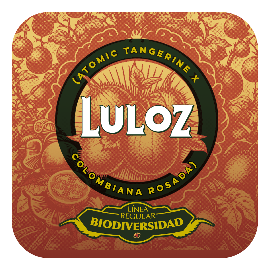 Luloz - Black Tuna - Pack x 10