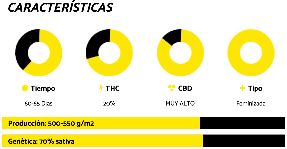 M8 Feminizada - Geaseeds