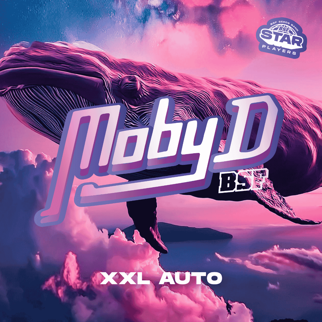 Moby-D XXL Autofloreciente BSF Seeds