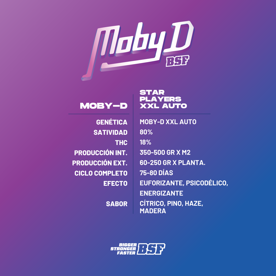 Moby-D XXL Autofloreciente BSF Seeds