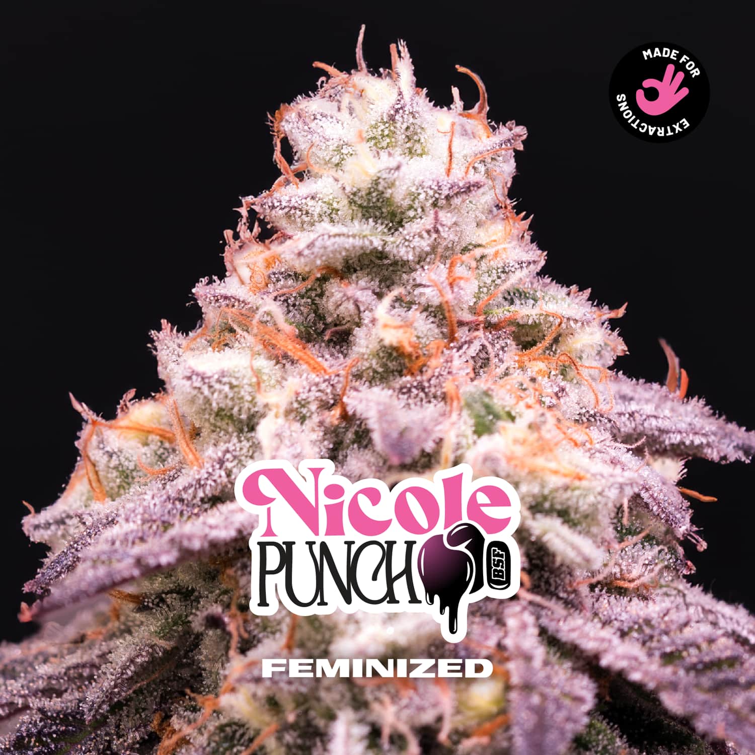 Nicole Punch Feminized – BSF Seeds