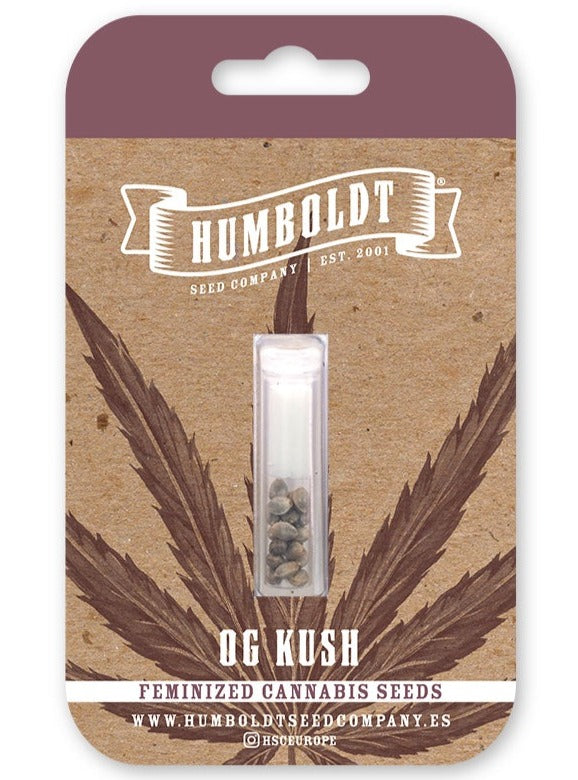 Og Kush Feminizada - Humboldt Seed Company - Pack x 3