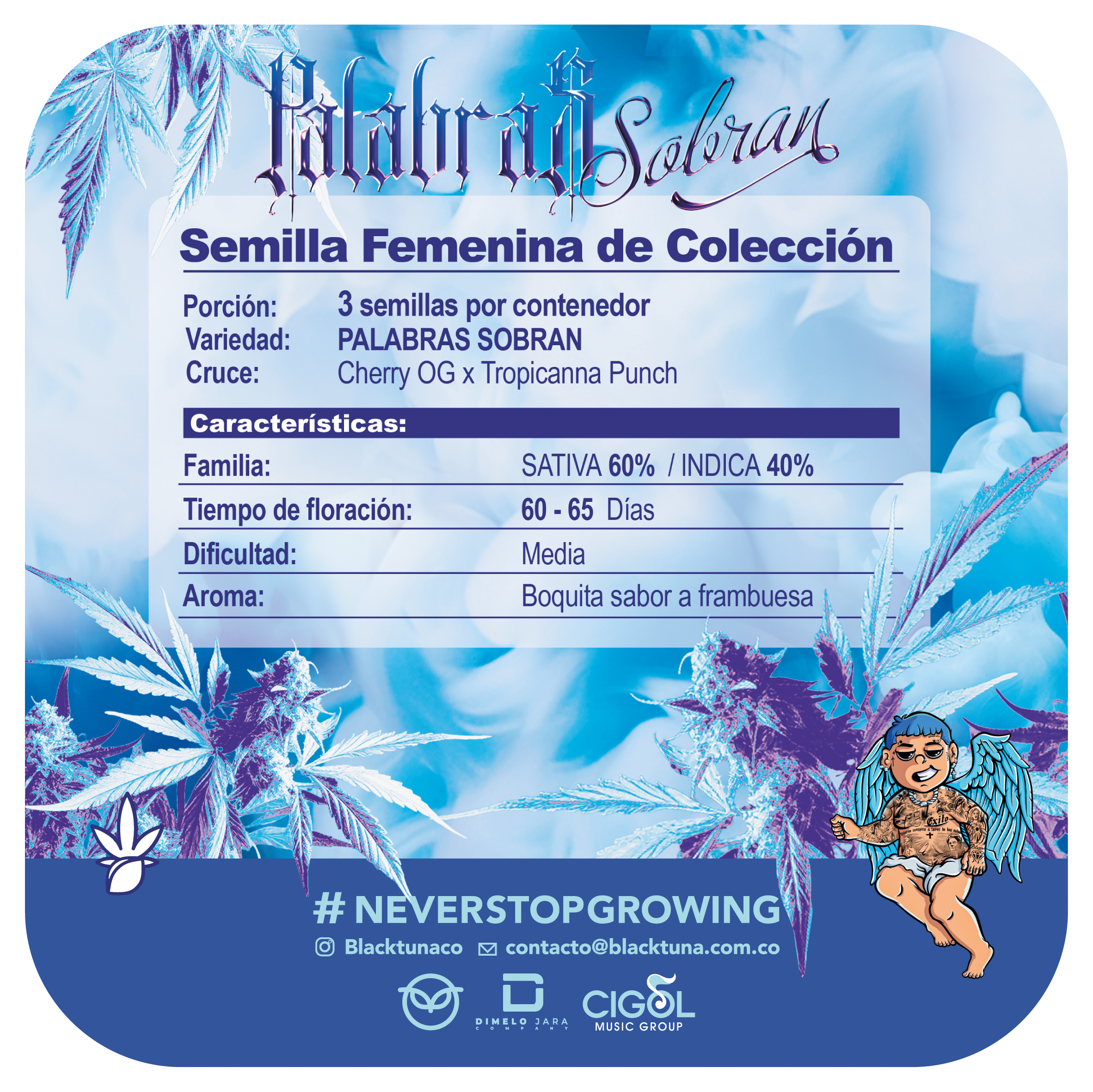 Palabras sobran - Black Tuna - Pack x 3