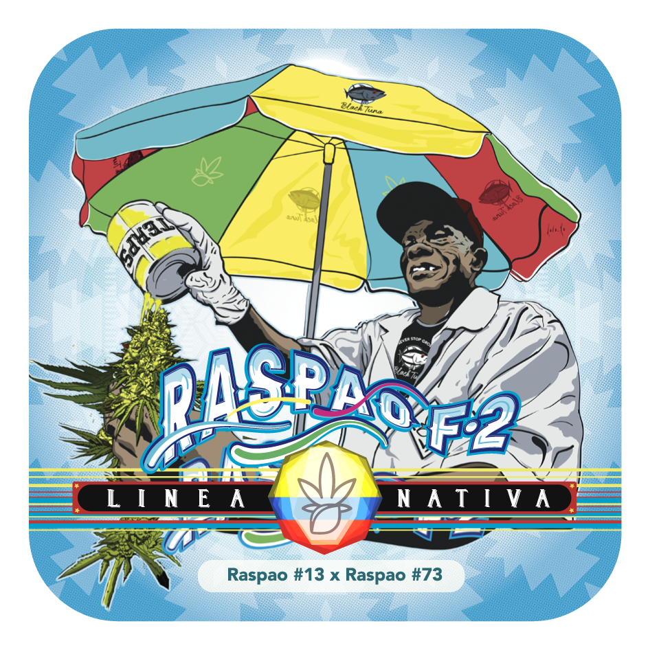 Raspao F2 Regular - Black Tuna - Pack x 10