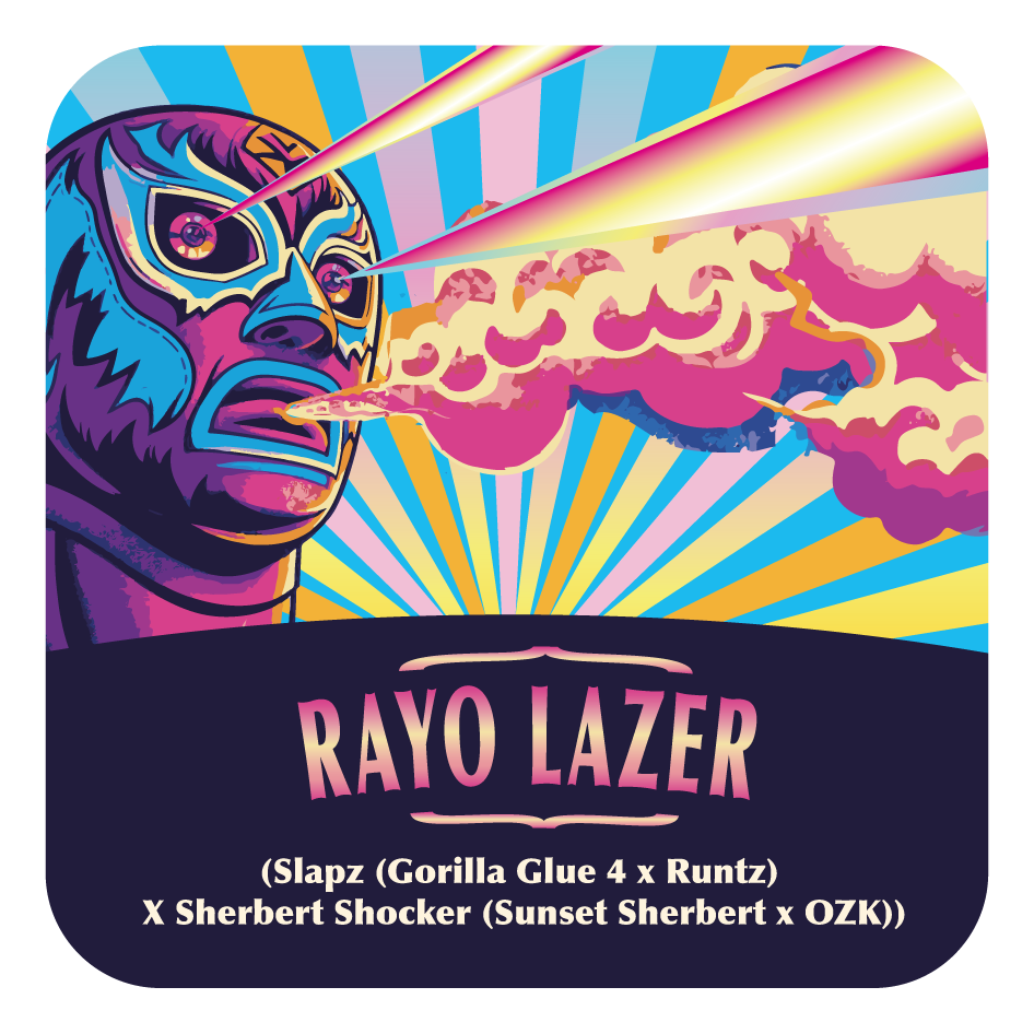 Rayo Lazer - Black Tuna - Pack x 3