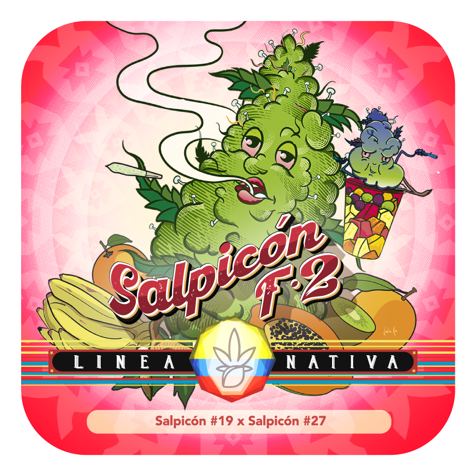 Salpicón F2 Regular - Black Tuna - Pack x 10