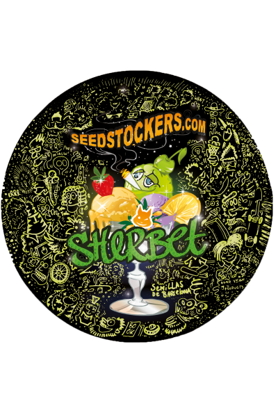 Sherbet  Feminizada - Seed Stockers - Pack x 3