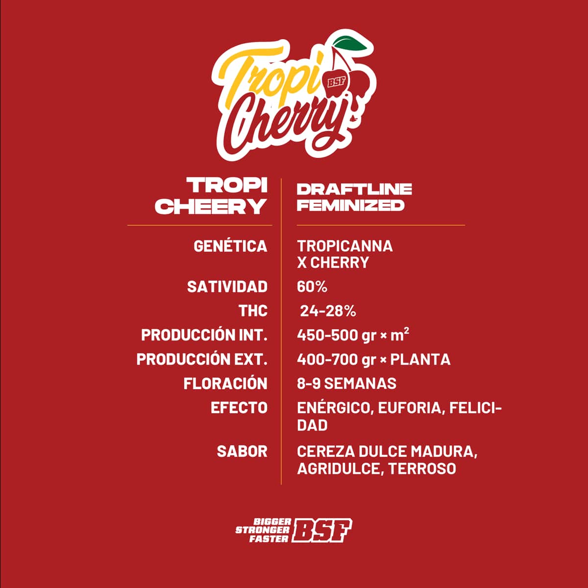 Tropi cherry – BSF Seeds