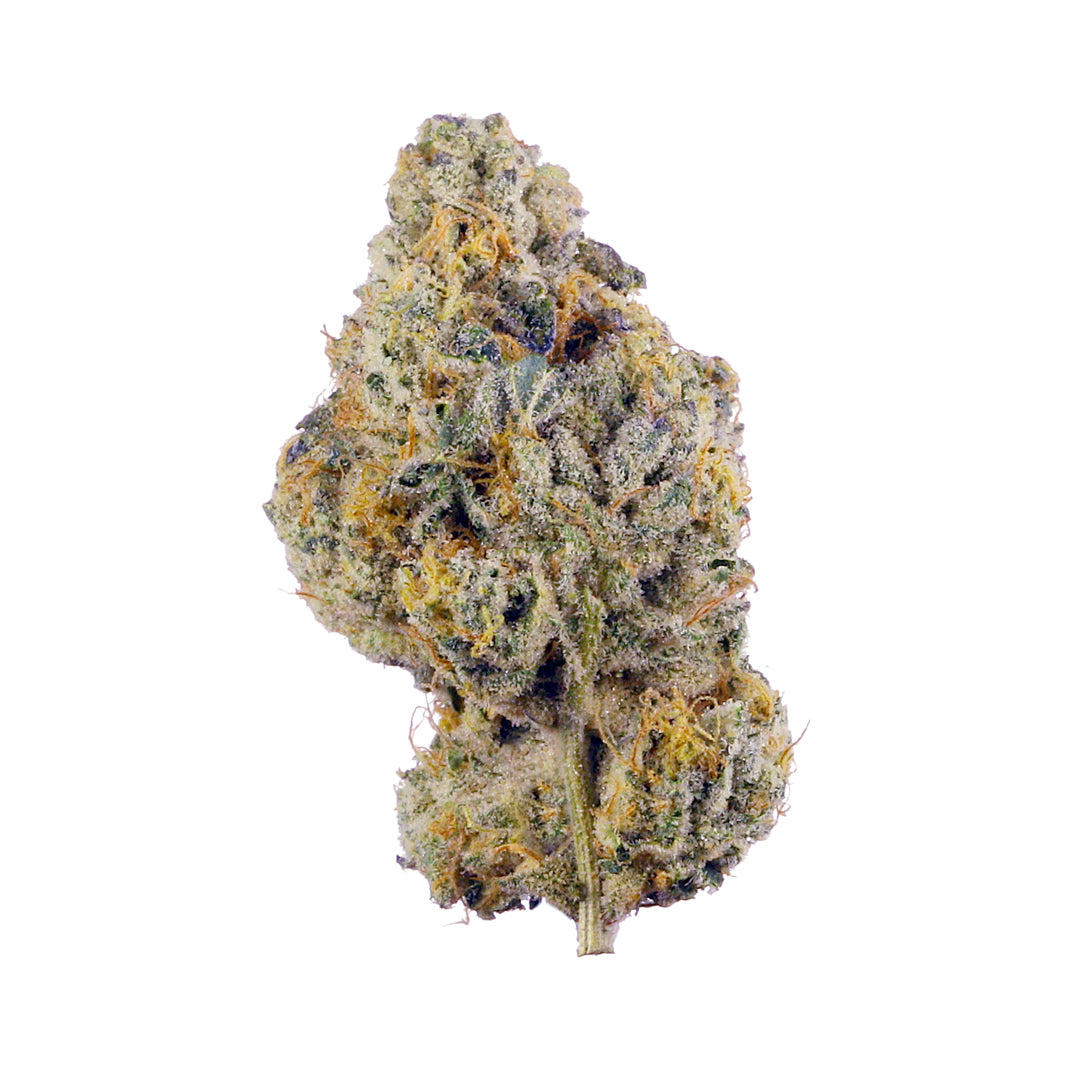 Wedding cake - Seed Hunters - Pack x 2