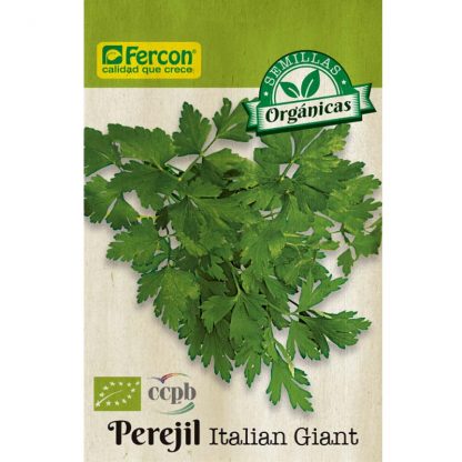 PEREJIL. Italian Giant - Umbelíferas - Semillas de Fercón