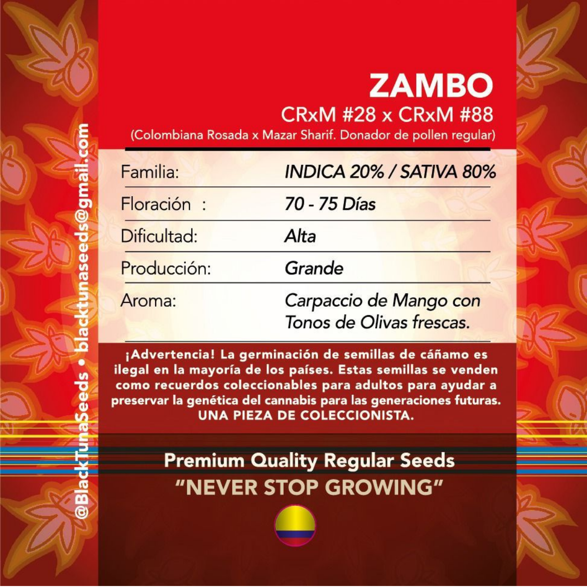 Zambo Regular - Black Tuna - Pack x 10