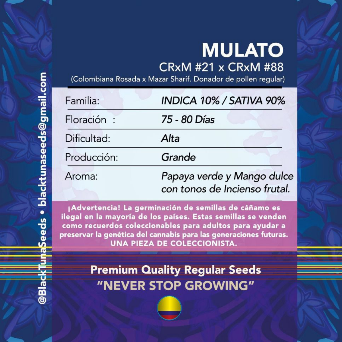 Mulato Regular - Black Tuna - Pack x 10
