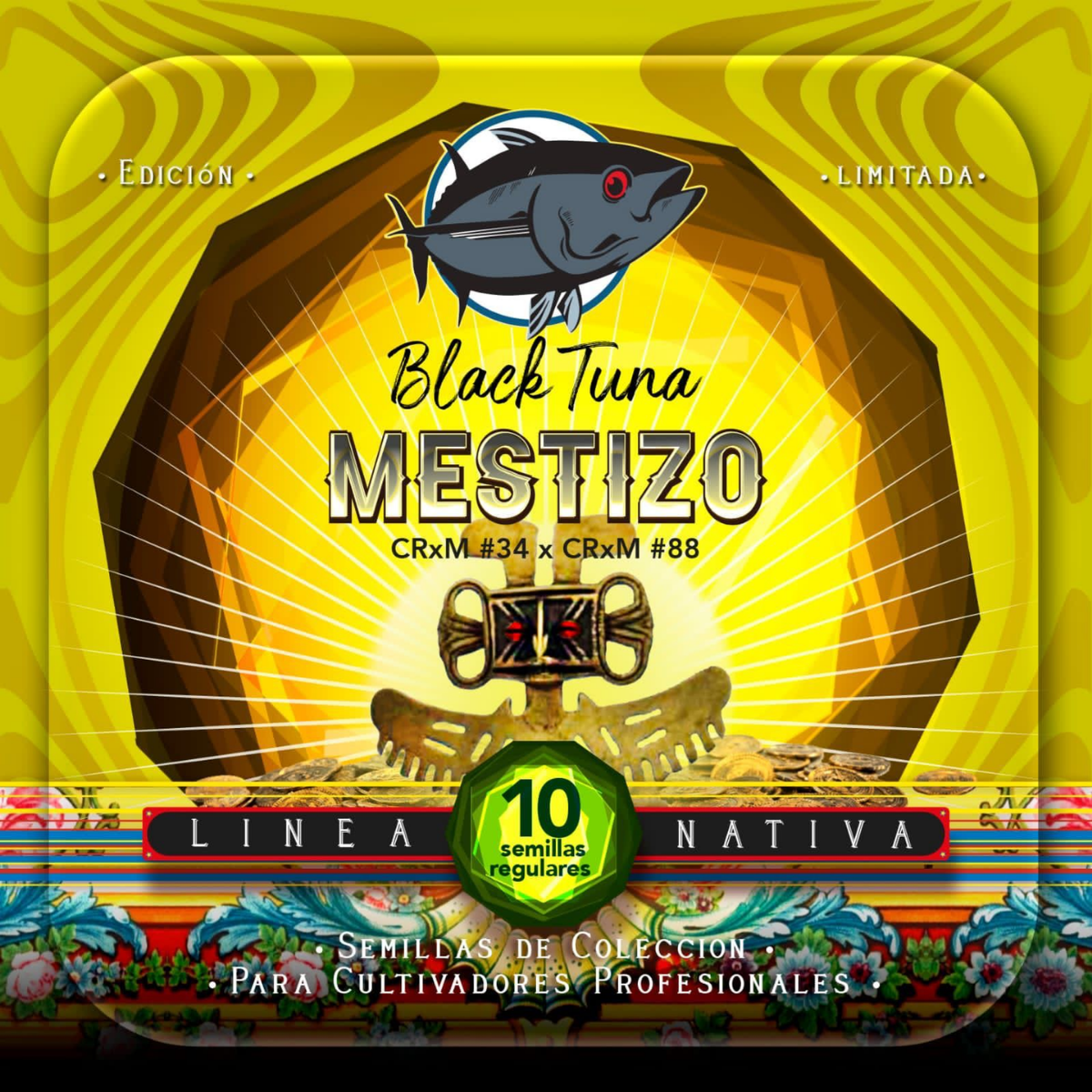 Mestizo Regular - Black Tuna - Pack x 10