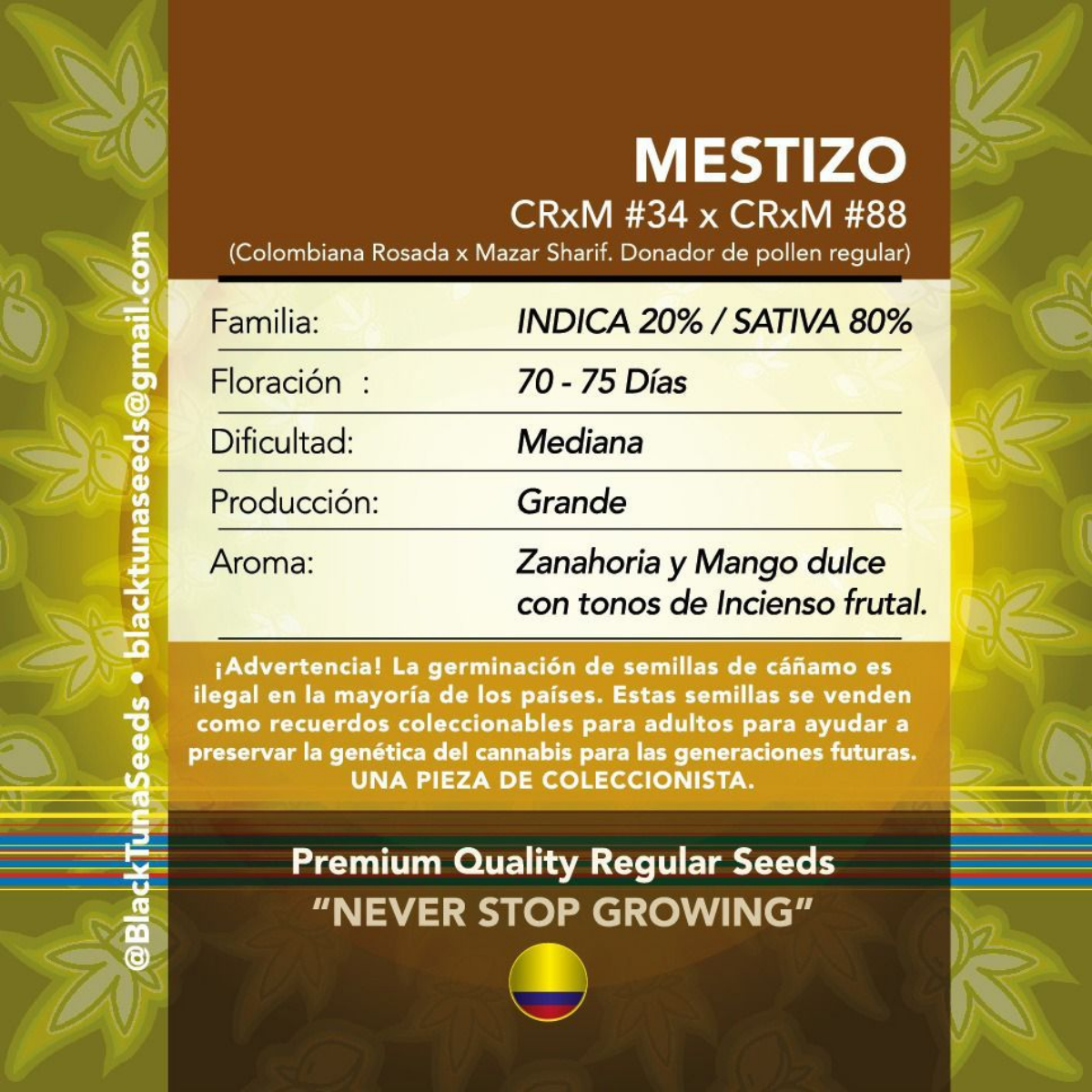 Mestizo Regular - Black Tuna - Pack x 10