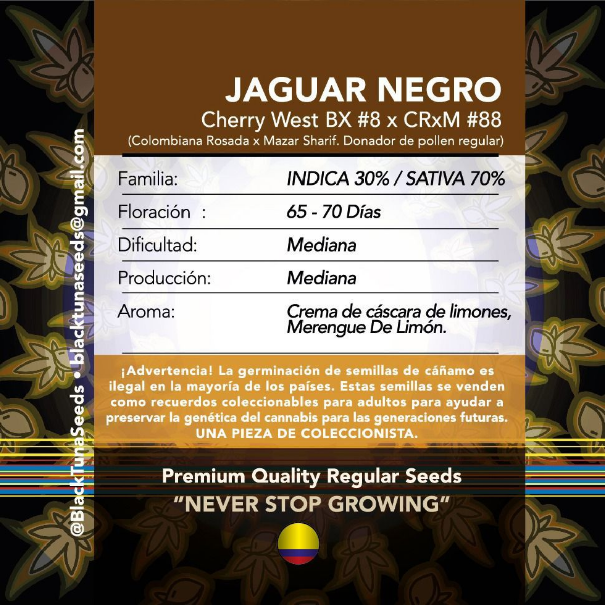 Jaguar Negro Regular - Black Tuna - Pack x 10