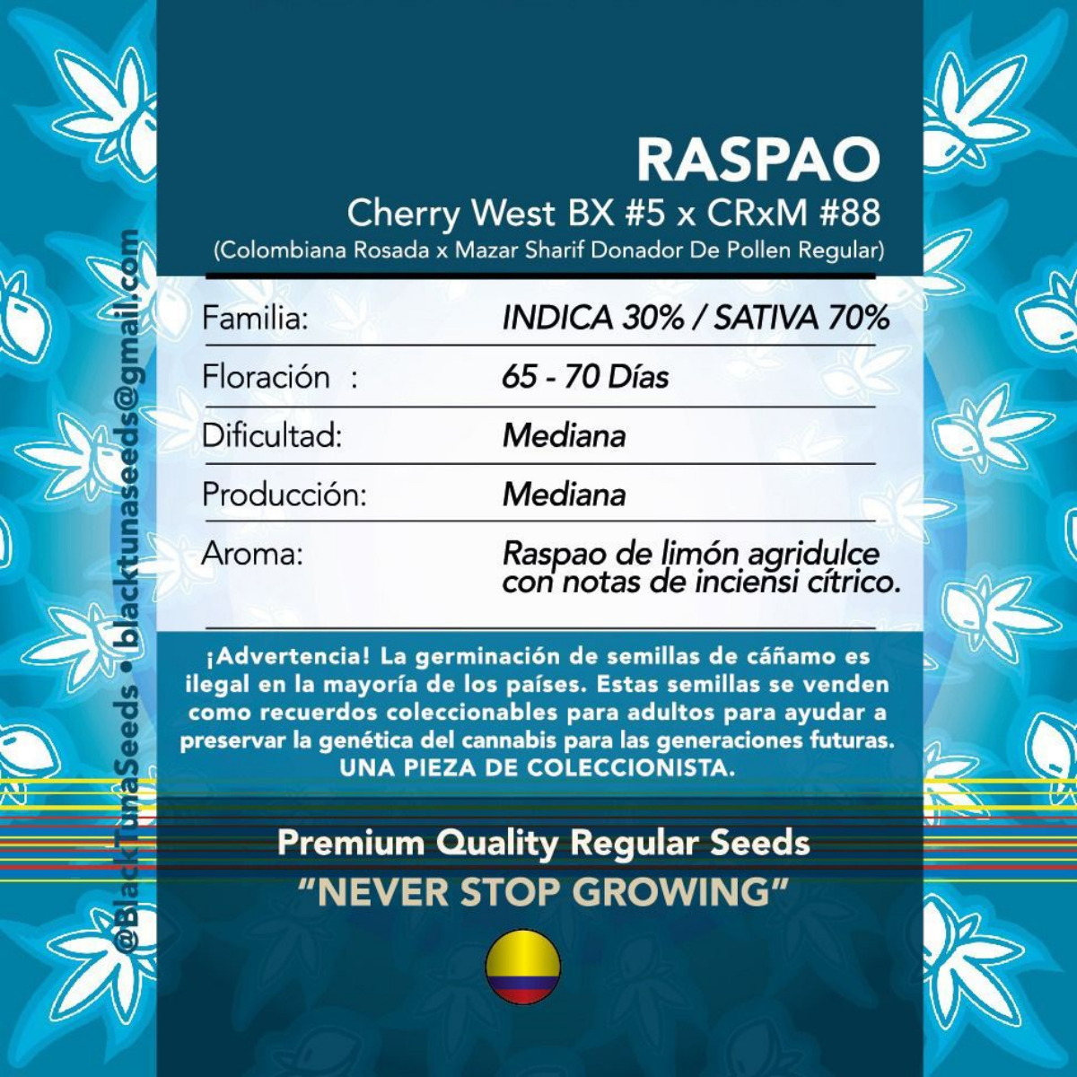 Raspao Regular - Black Tuna - Pack x 10