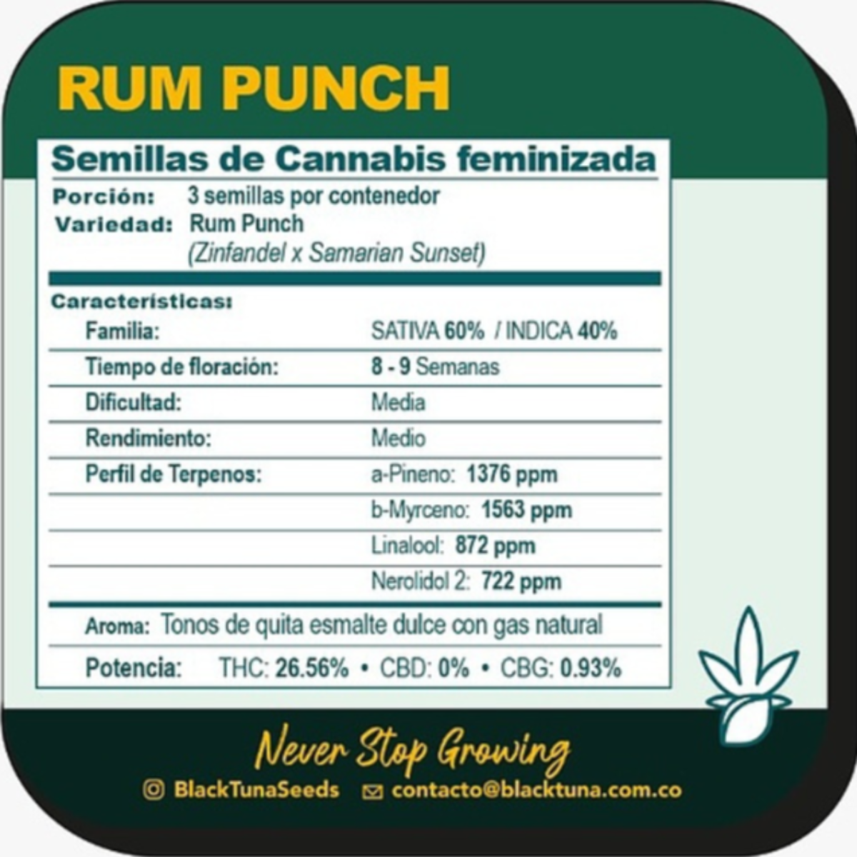 Rum Punch Feminizada - Black Tuna - Pack 3