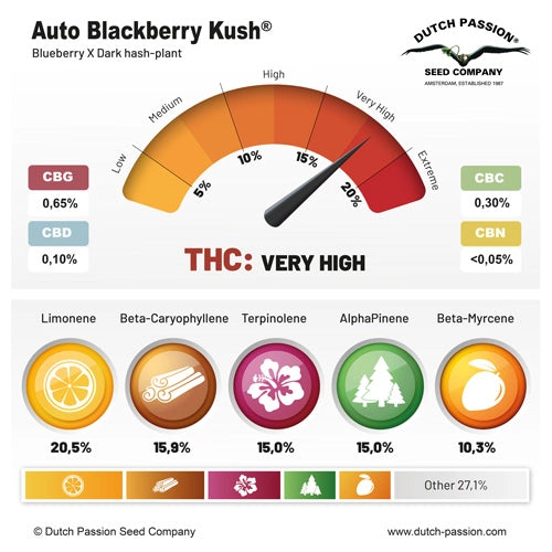 THC: Bajo CBD: 15% Autofloreciente Tiempo 13 semanas 