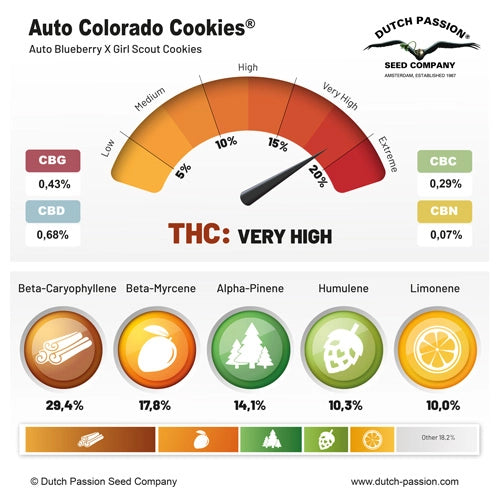 Auto Colorado Cookies® - Dutch Passion pack x 3
