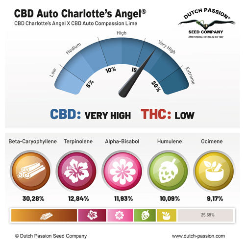 THC: Bajo CBD: 15% Tiempo: 13 semanas  Sabor: Cítrico picante 