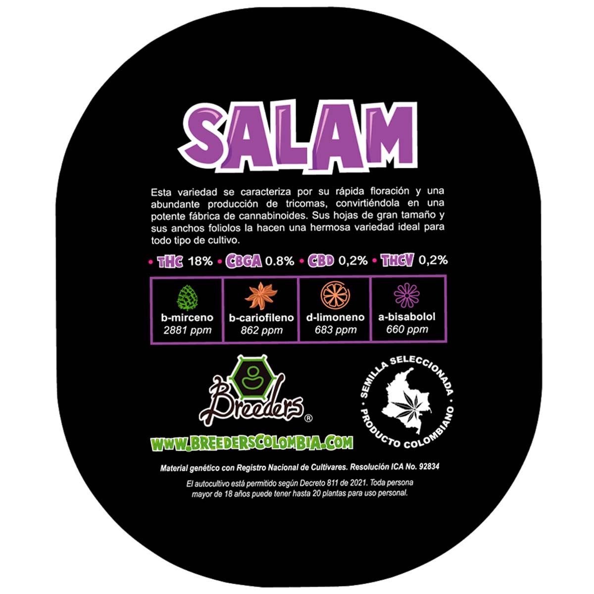 SALAM Feminizada Breeders Pack X3
