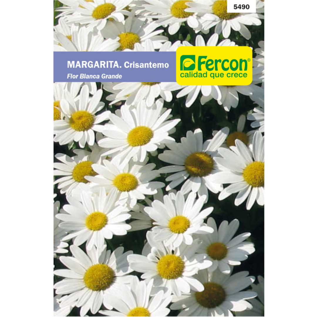 MARGARITA. Crisantemo - Semillas de Fercon