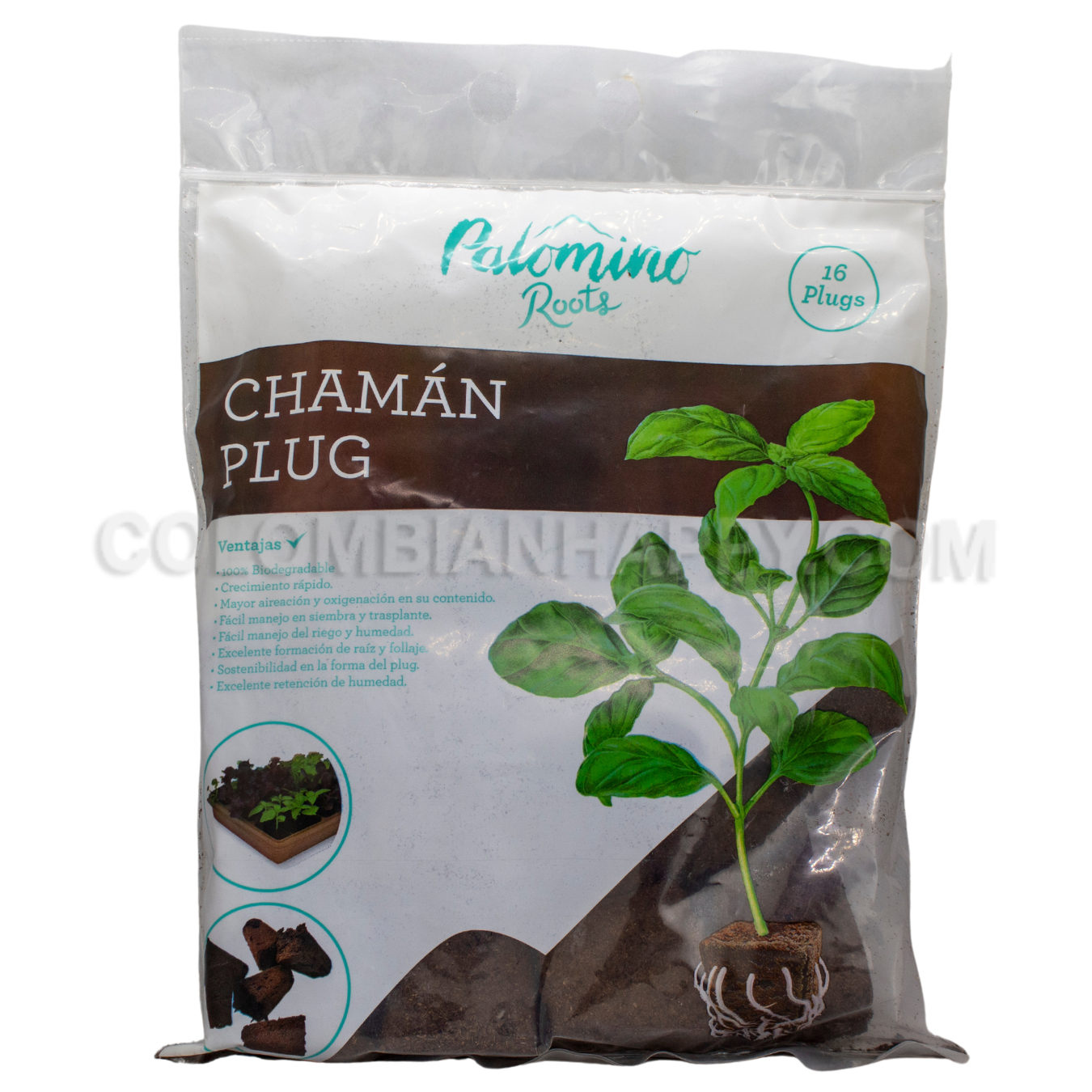 Chamán Plug pack X 16 - Palomino Roots