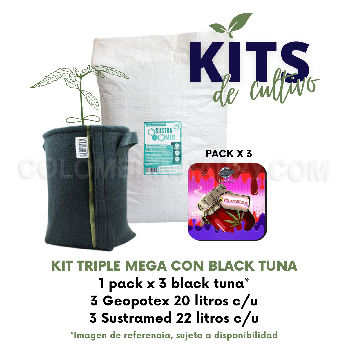 Kits de Cultivo Black Tuna