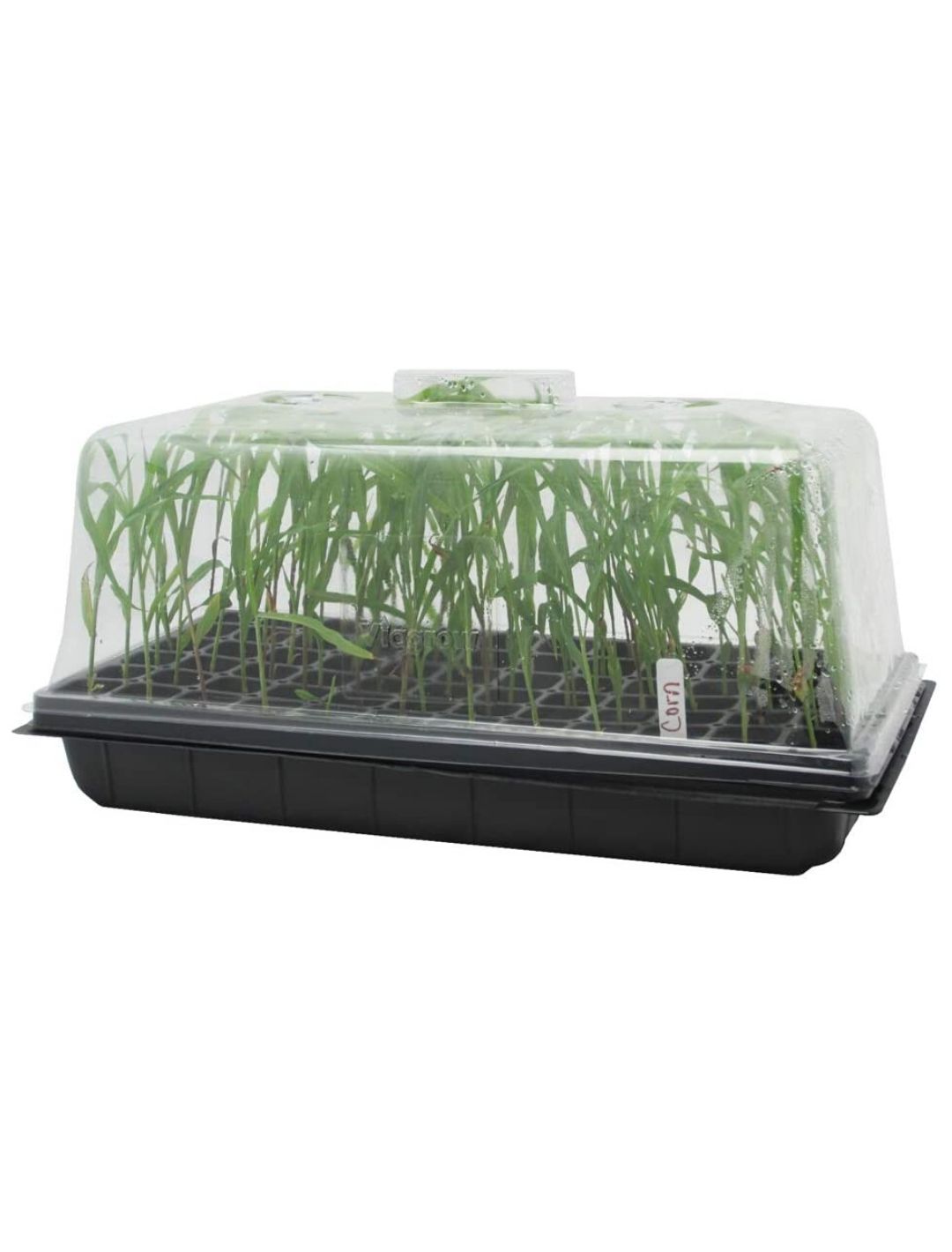 IMPORTANTE: Para su información con respecto los requerimientos logísticos el envío de este producto a nivel nacional por transportadora tiene un excedente por ser material delicado.