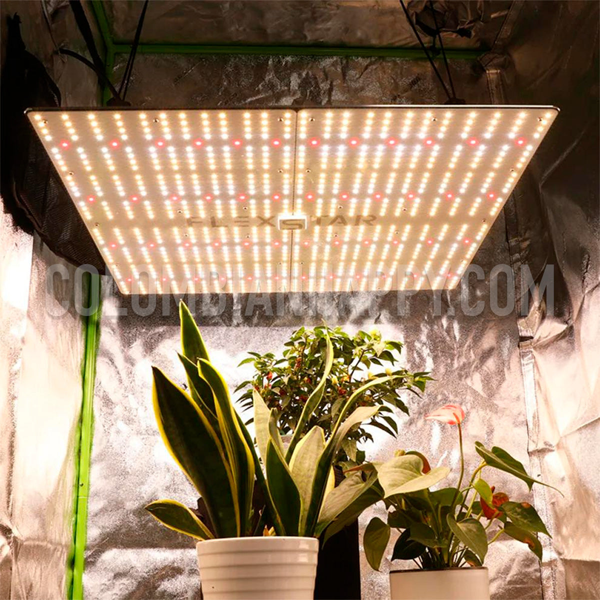 Lámpara para cultivo Full Spectrum Flexstars - RESERVA