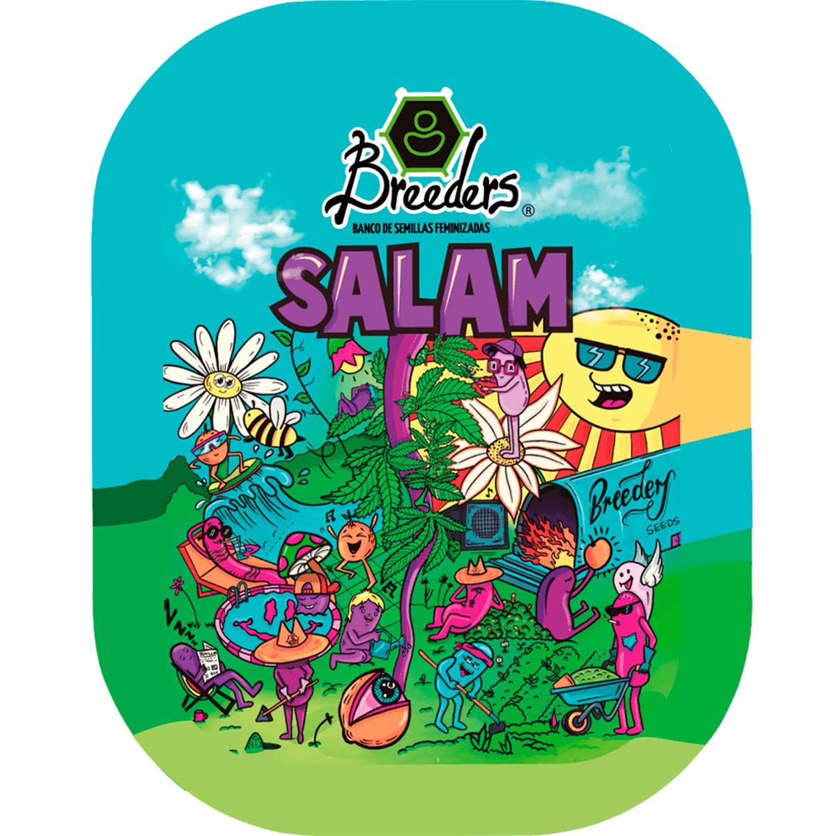 SALAM Feminizada Breeders Pack X3